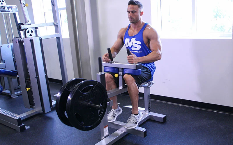 seated calf raise
