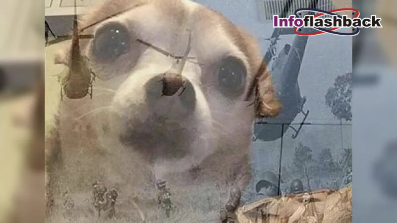 vietnam war flashback meme